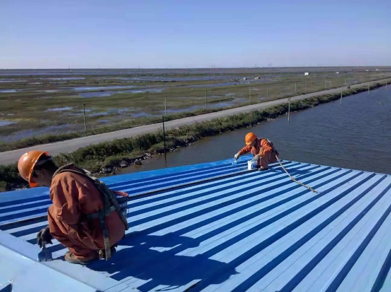 福鼎钢结构屋面漏水原因